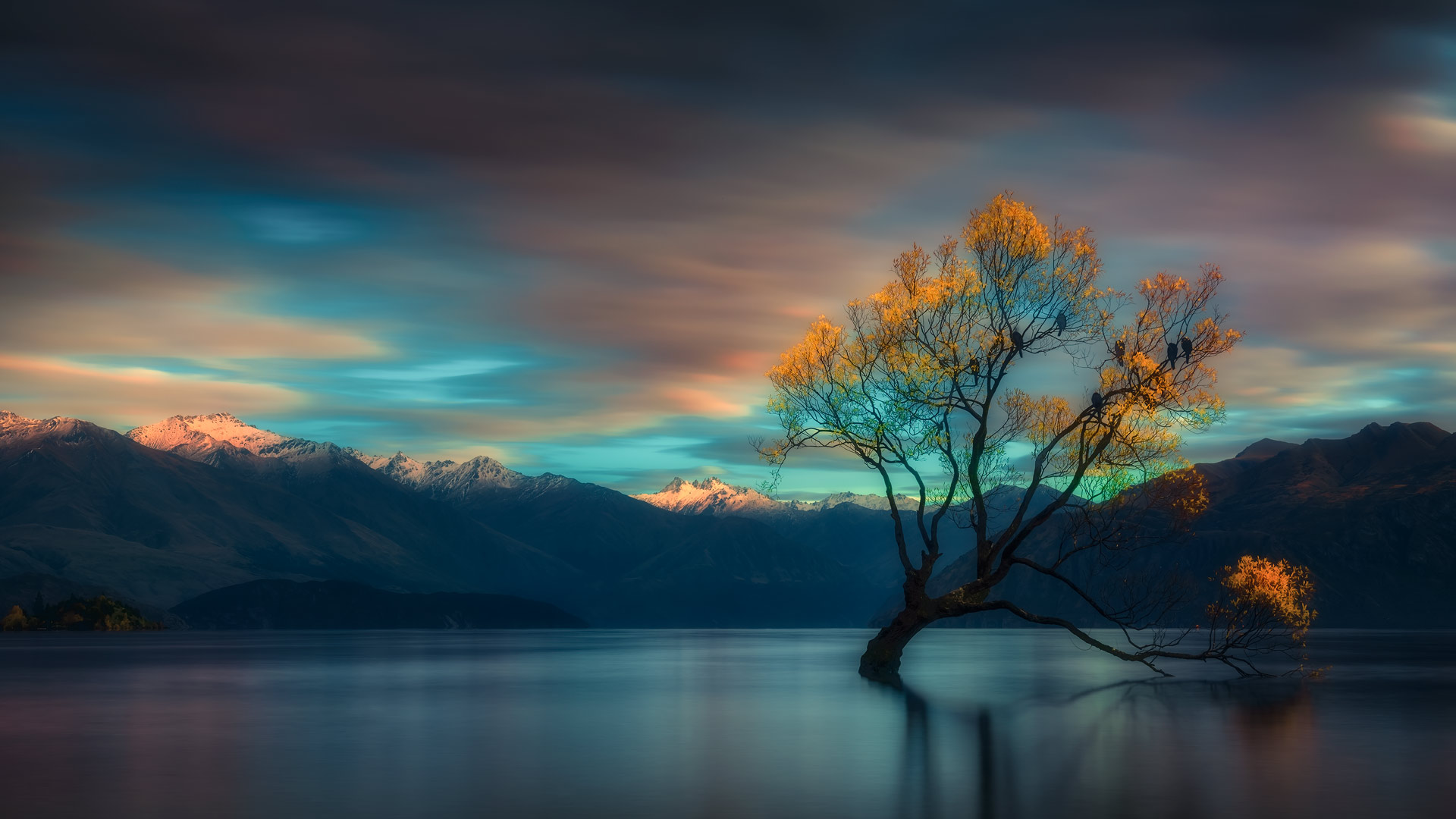 Wanaka Tree - Nova Zelândia