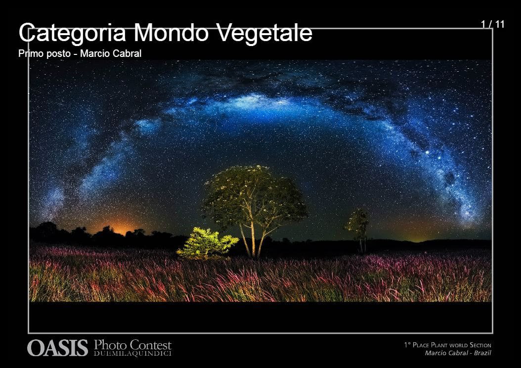 Categoria Mundo Vegetal - Oasis Photo Contest - © Marcio Cabral