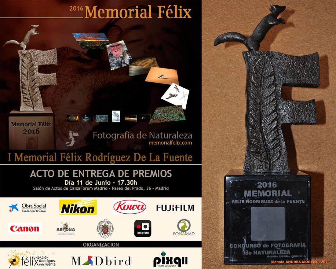 Memorial Félix 2016 anuncia Marcio Cabral como o grande vencedor