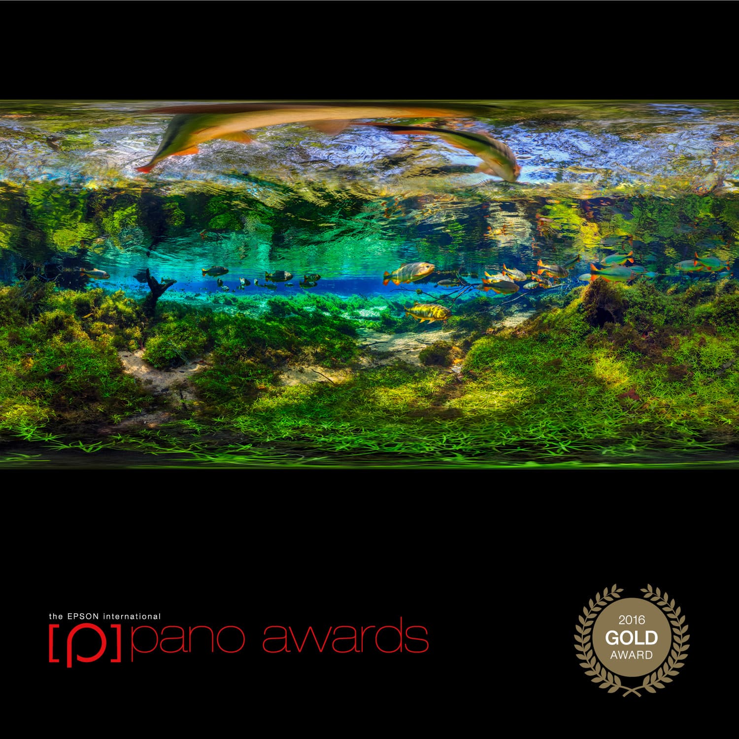 Olho D´Água River: 3º Lugar na Categoria VR/360 do Epson Pano Awards 2016