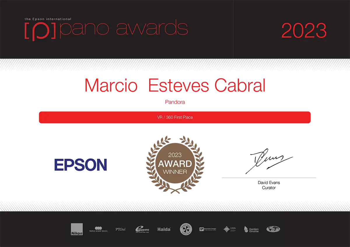 Certificado Award Winner do Epson International Pano Awards 2023