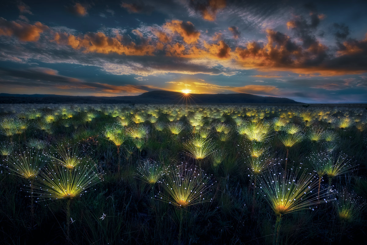 Fotoexplorer - Marcio Cabral - Fireworks, Winner na categoria Landscape do NBP International Awards 2024