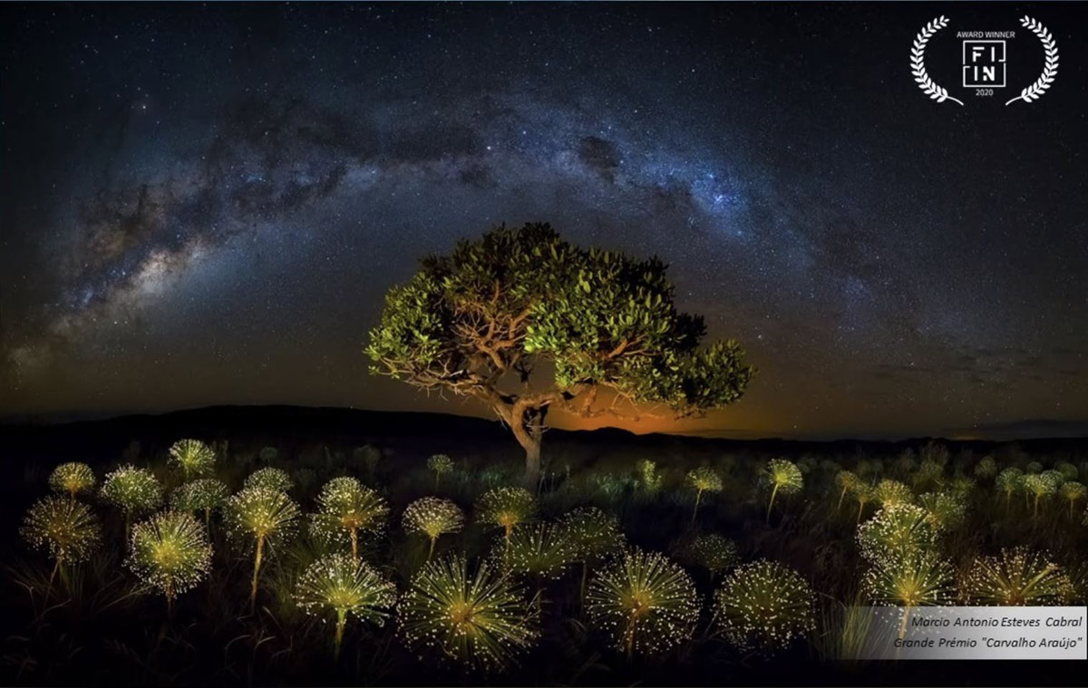Fotoexplorer - Marcio Cabral - "Pandora", Prêmio Carvalho Araújo do FIIN-2020