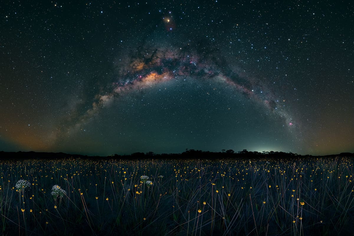 Fotoexplorer - Marcio Cabral - The Nature Photography Contest 2025 - Golden Drops Beneath The Milky Way