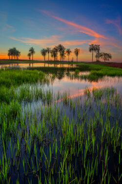 O pôr do sol com seus tons alaranjados em Jardim/MS nos mostra um cenário de beleza única. Certamente, é um lugar privilegiado pela natureza que merece ser preservado.<br><span class="btnsku">SKU ⇢ BNJD020</span> <a class="btnfineart" href="https://fotoexplorer.com/fine-art/#orca" target="_blank">PEDIR ORÇAMENTO</a> Recanto Ecológico Rio da Prata