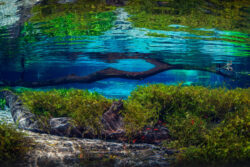 <span class="btnsku">SKU ⇢ BNJD027</span> <a class="btnfineart" href="https://fotoexplorer.com/fine-art/#orca" target="_blank">PEDIR ORÇAMENTO</a> Bonito e Jardim