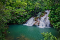 <span class="btnsku">SKU ⇢ BNJD029</span> <a class="btnfineart" href="https://fotoexplorer.com/fine-art/#orca" target="_blank">PEDIR ORÇAMENTO</a> Bonito e Jardim