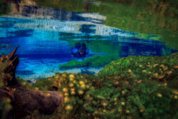 <span class="btnsku">SKU ⇢ BNJD031</span> <a class="btnfineart" href="https://fotoexplorer.com/fine-art/#orca" target="_blank">PEDIR ORÇAMENTO</a> Bonito e Jardim