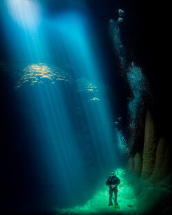 <span class="btnsku">SKU ⇢ BNJD032</span> <a class="btnfineart" href="https://fotoexplorer.com/fine-art/#orca" target="_blank">PEDIR ORÇAMENTO</a> Bonito e Jardim