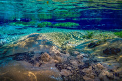 <span class="btnsku">SKU ⇢ BNJD033</span> <a class="btnfineart" href="https://fotoexplorer.com/fine-art/#orca" target="_blank">PEDIR ORÇAMENTO</a> Bonito e Jardim