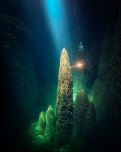 <span class="btnsku">SKU ⇢ BNJD037</span> <a class="btnfineart" href="https://fotoexplorer.com/fine-art/#orca" target="_blank">PEDIR ORÇAMENTO</a> Bonito e Jardim