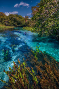 <span class="btnsku">SKU ⇢ BNJD040</span> <a class="btnfineart" href="https://fotoexplorer.com/fine-art/#orca" target="_blank">PEDIR ORÇAMENTO</a> Bonito e Jardim