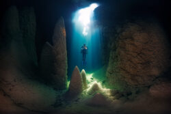 <span class="btnsku">SKU ⇢ BNJD044</span> <a class="btnfineart" href="https://fotoexplorer.com/fine-art/#orca" target="_blank">PEDIR ORÇAMENTO</a> Bonito e Jardim