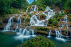 <span class="btnsku">SKU ⇢ BNJD048</span> <a class="btnfineart" href="https://fotoexplorer.com/fine-art/#orca" target="_blank">PEDIR ORÇAMENTO</a> Bonito e Jardim