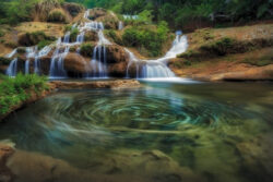 <span class="btnsku">SKU ⇢ BNJD051</span> <a class="btnfineart" href="https://fotoexplorer.com/fine-art/#orca" target="_blank">PEDIR ORÇAMENTO</a> Bonito e Jardim