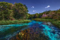 <span class="btnsku">SKU ⇢ BNJD052</span> <a class="btnfineart" href="https://fotoexplorer.com/fine-art/#orca" target="_blank">PEDIR ORÇAMENTO</a> Bonito e Jardim