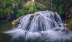 <span class="btnsku">SKU ⇢ BNJD053</span> <a class="btnfineart" href="https://fotoexplorer.com/fine-art/#orca" target="_blank">PEDIR ORÇAMENTO</a> Bonito e Jardim